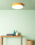 Scandi Halo
